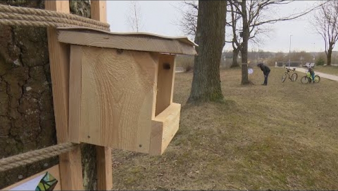 Līvānu novadā izveido pastaigu takas “Putniem pilns pavasaris”