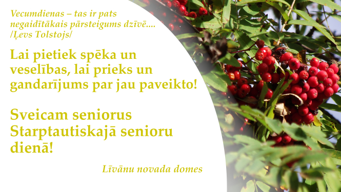 Attēls ar pīlādžiem un apsveikumu Starptautiskajā senioru dienā