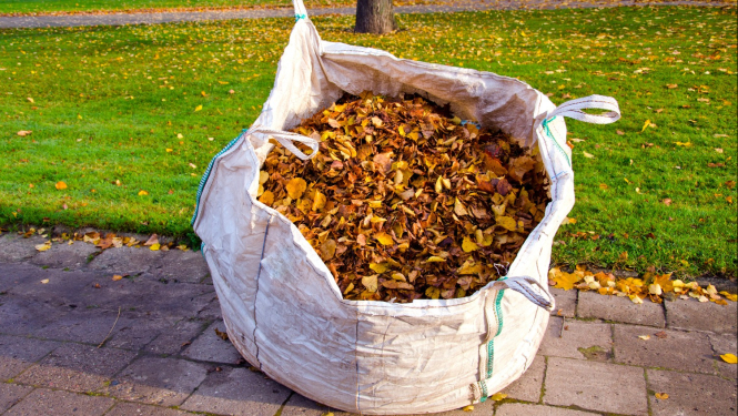 Rudens lapas