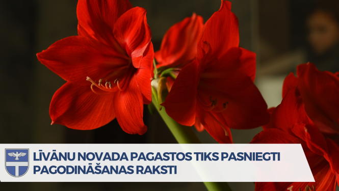 Afiša