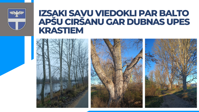 Koku ciršana