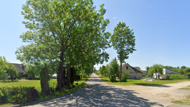 iela ar kokiem