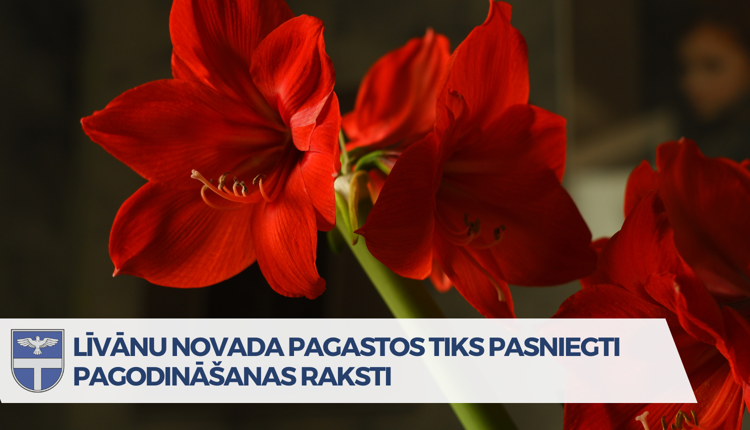 Afiša