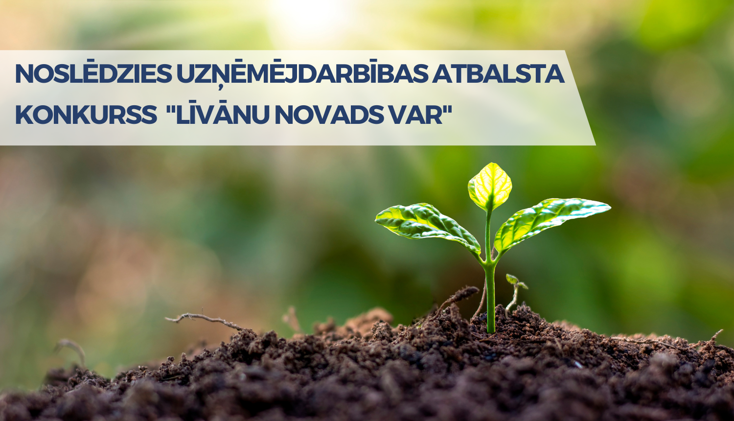 asns, kas izlīdis no zemes saulē