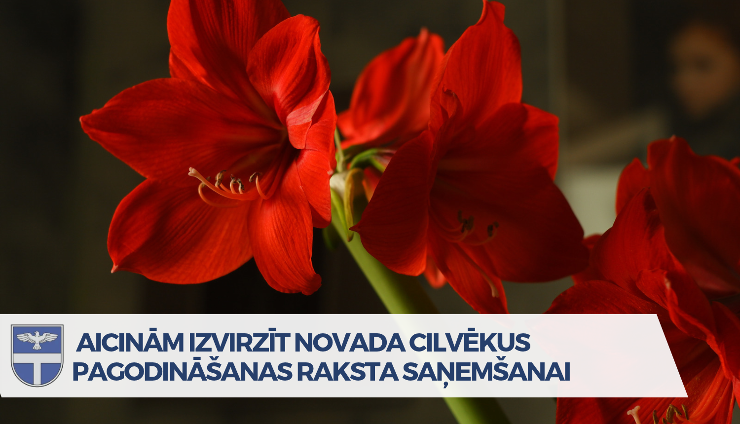 Afiša