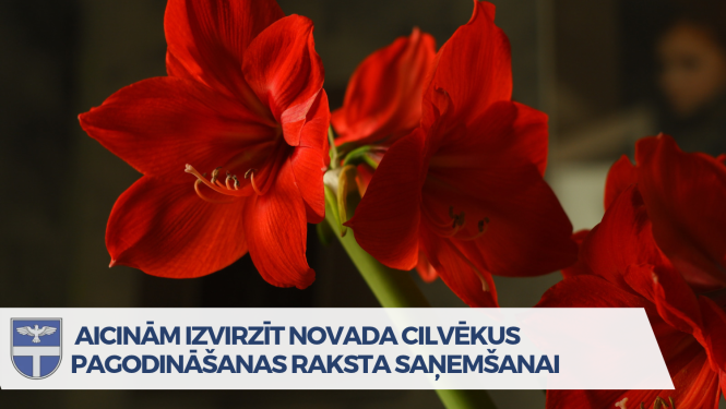 Afiša