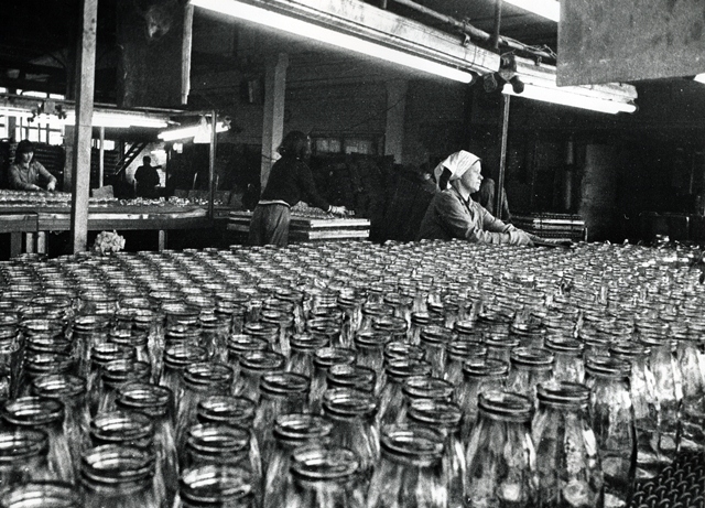 Līvānu stikla fabrikas vēsture