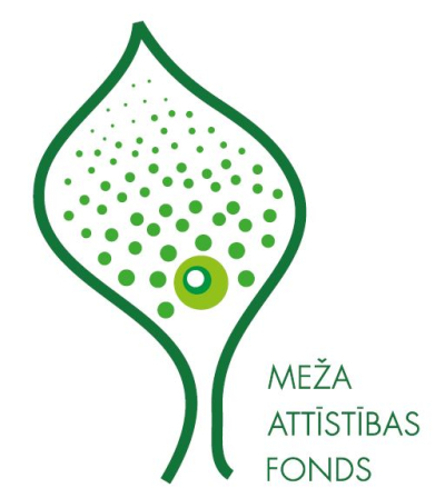 stilizēta lapa