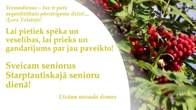 Attēls ar pīlādžiem un apsveikumu Starptautiskajā senioru dienā