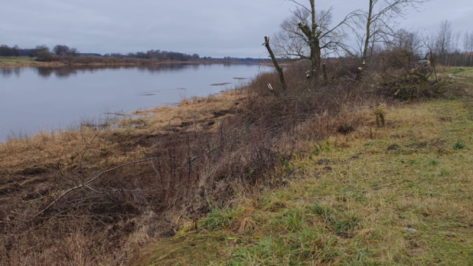 rudenī upes krasts, drūms pelēcīgs