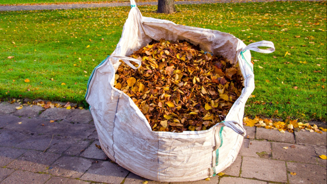 Rudens lapas