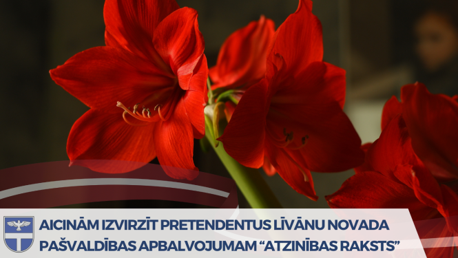 sarkani ziedi un valsts karogs