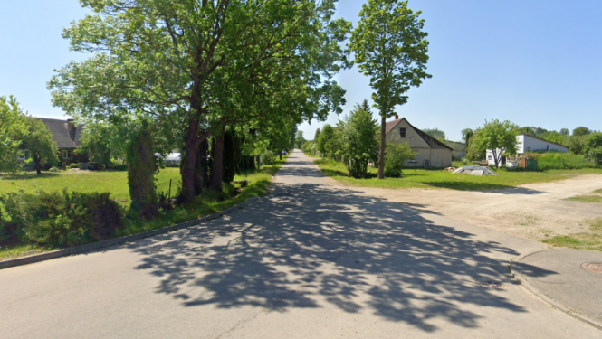 iela ar kokiem