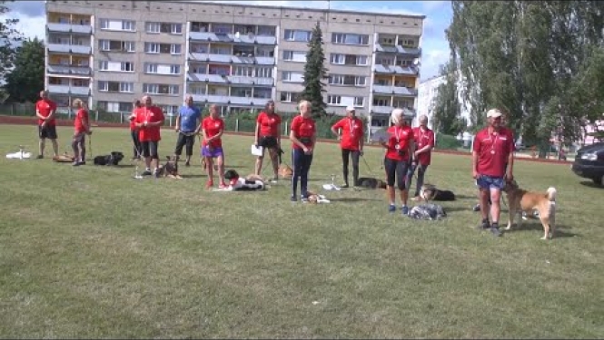 Suņu sacensībās Līvānos pulcējas 36 dalībnieki