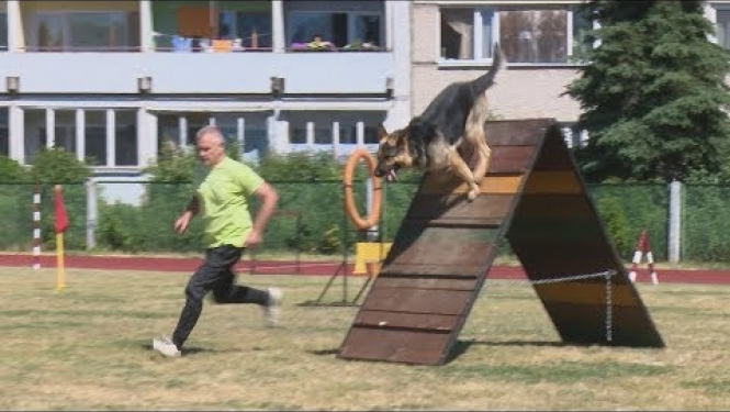 Līvānos norisinājušās suņu sporta sacensības
