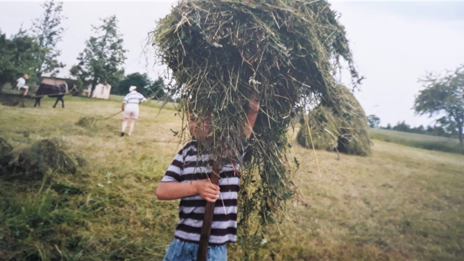 Cilvēks siena talkā