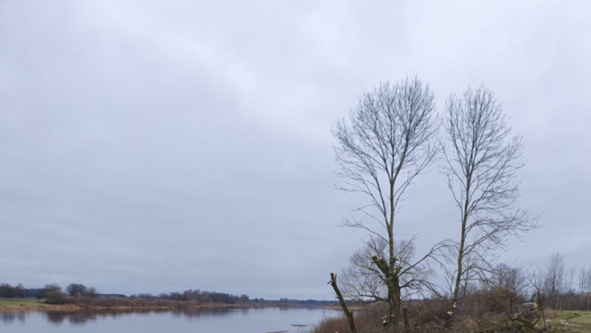 rudenī upes krasts, drūms pelēcīgs