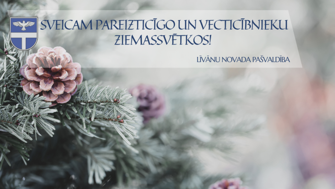 skujas un čiekuri ziemā