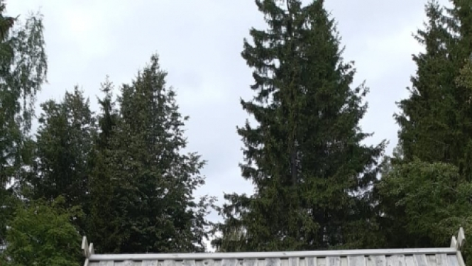 cilvēki stāv pie vārtiem