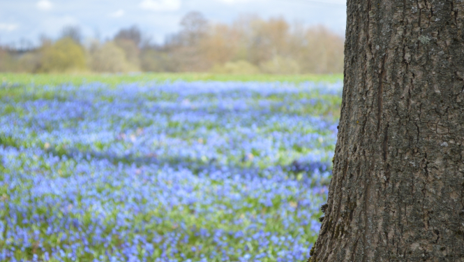 Pie Līvānu stikla un amatniecības centra, pavasaris 2016