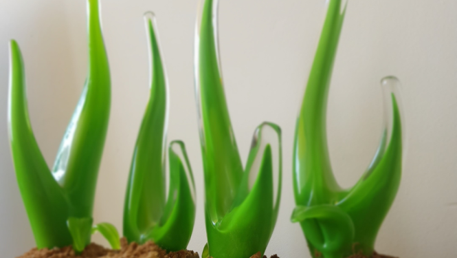 stikla godalgas - zaļi asniņi 