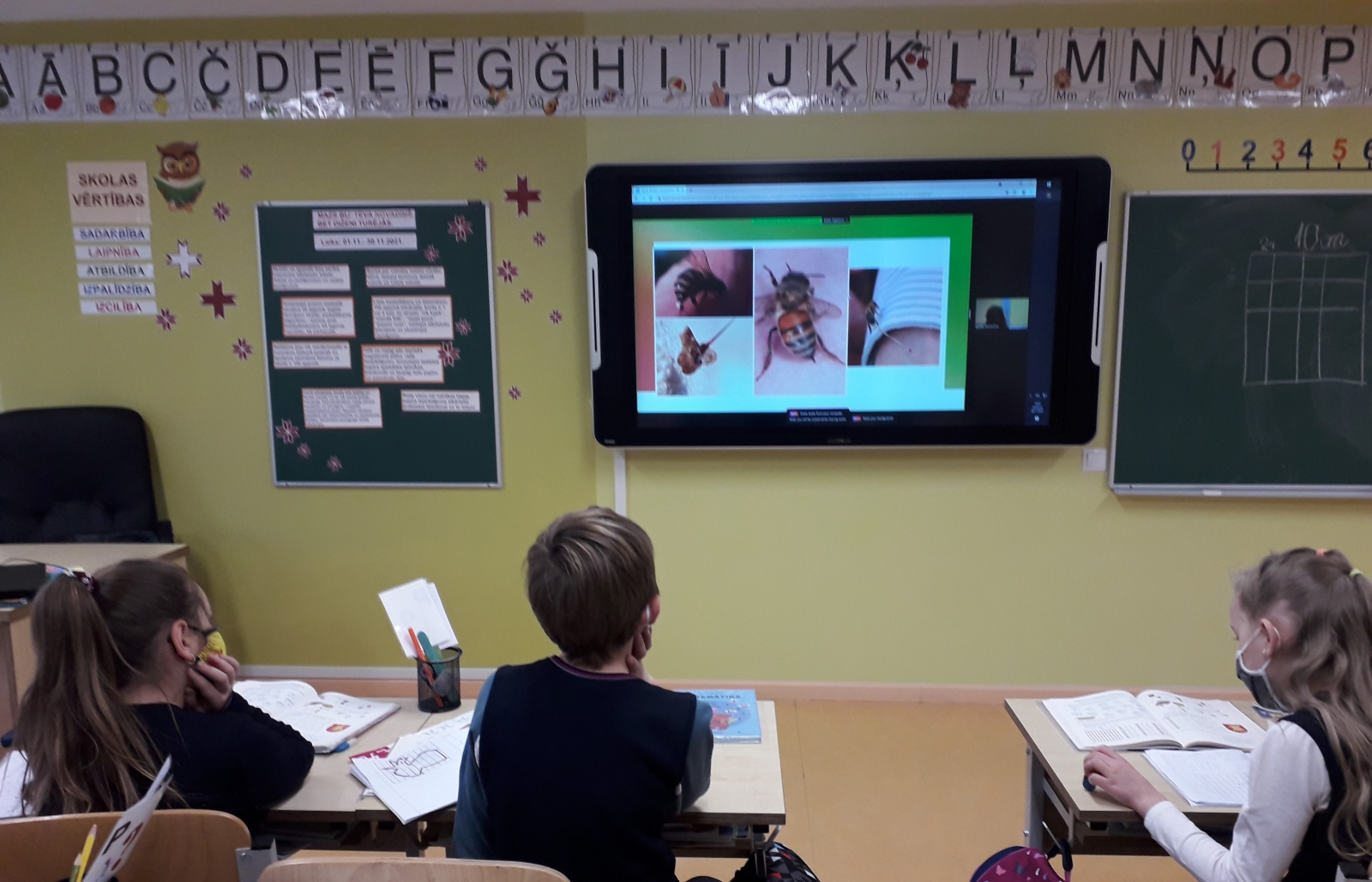 Bērni skatās interaktīvajā tāfelē filmu par bitēm
