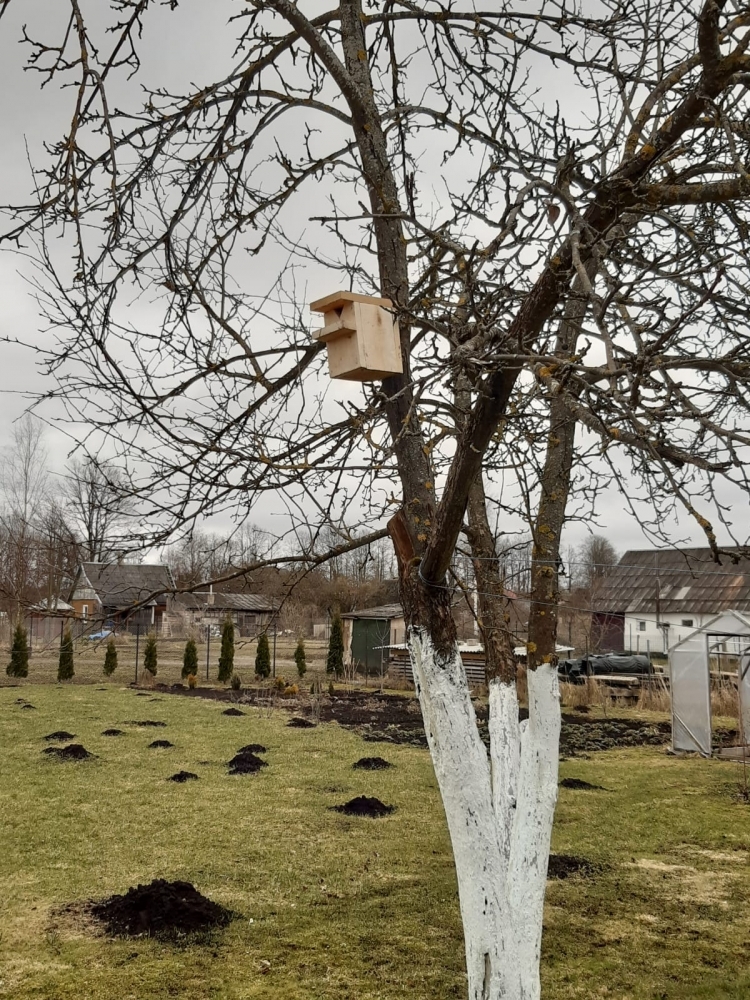 AKCIJA “IZGATAVO SAVU PUTNU BŪRĪTI”