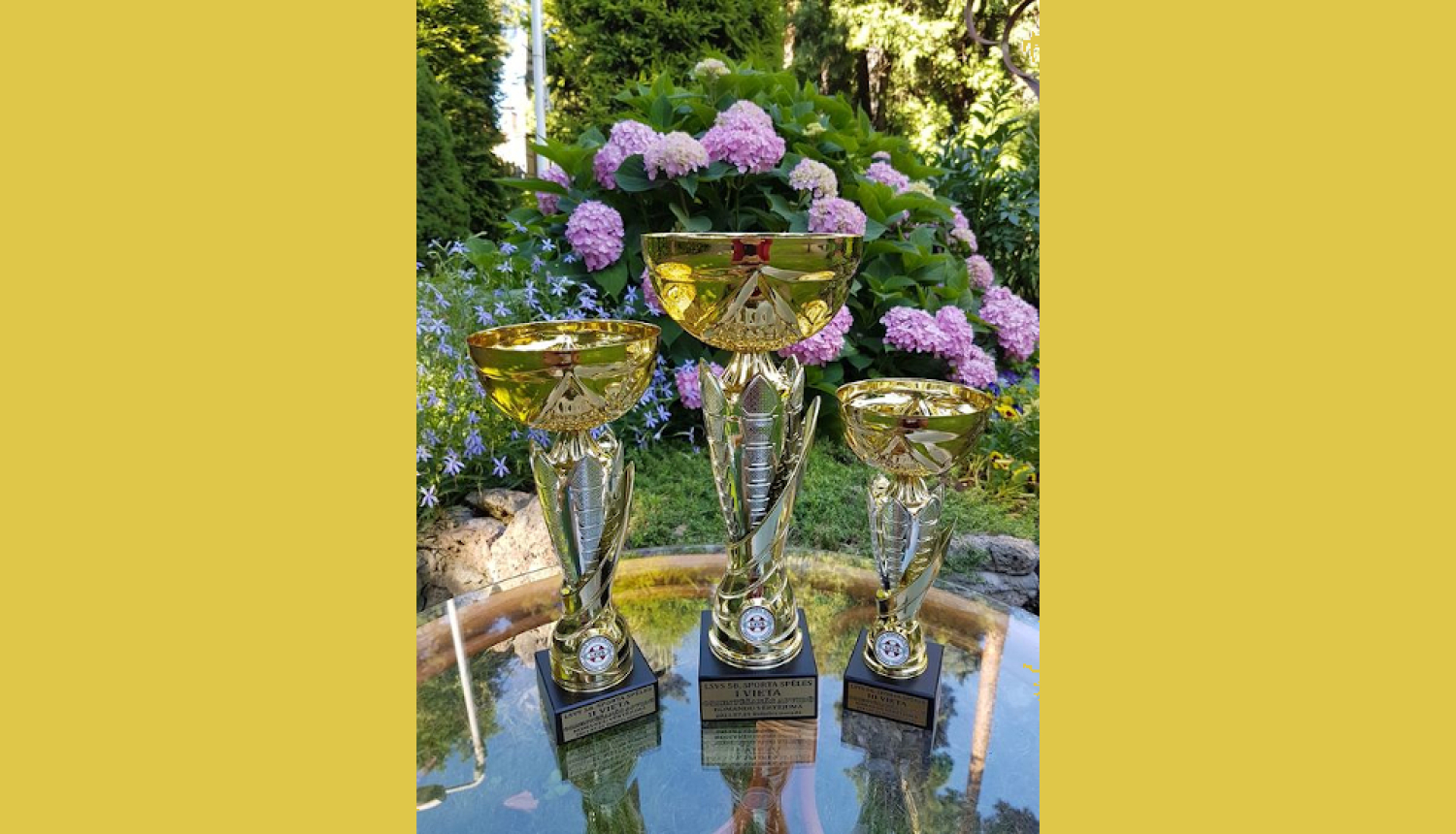 Trīs kausi un fonā puķes