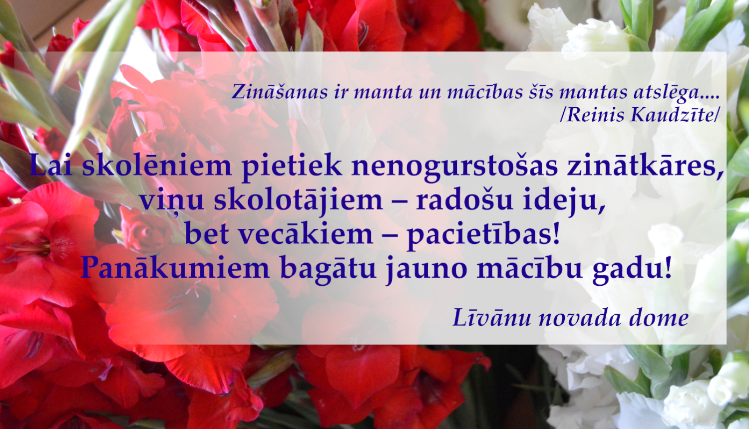 Apsveikums Zinību dienā ar gladiolām fonā