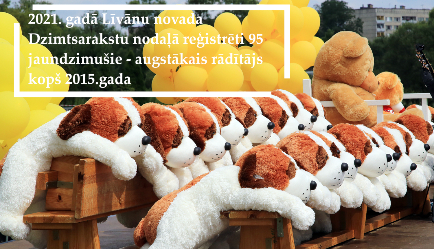 Mīkstās rotaļlietas - suņi, kas salikti divās rindās uz krēsliem. Fonā dzelteni baloni.