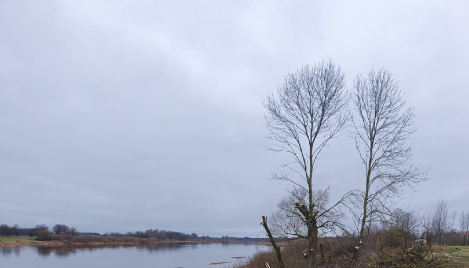 rudenī upes krasts, drūms pelēcīgs