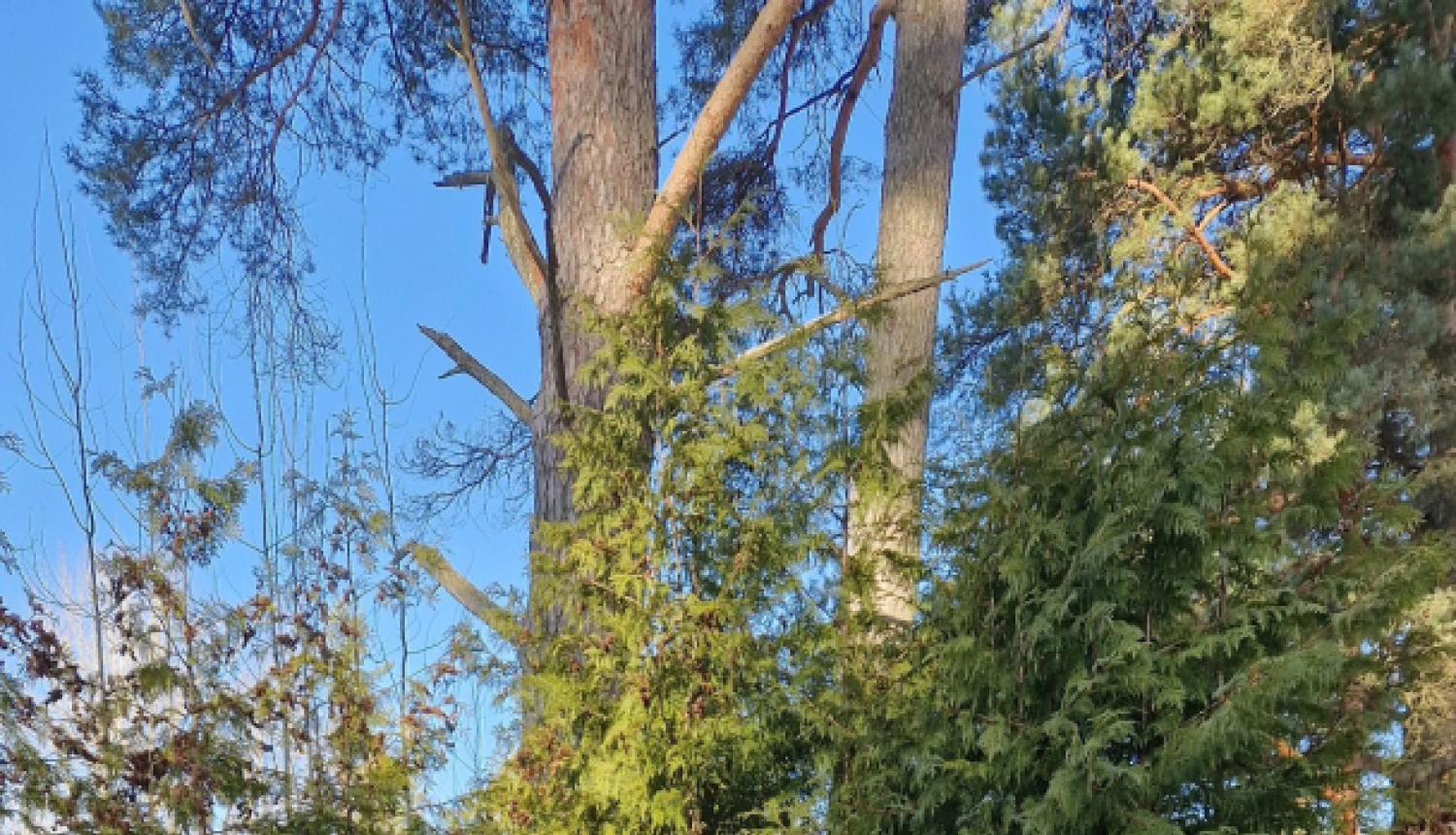 trīs cilveki pie kapavietas