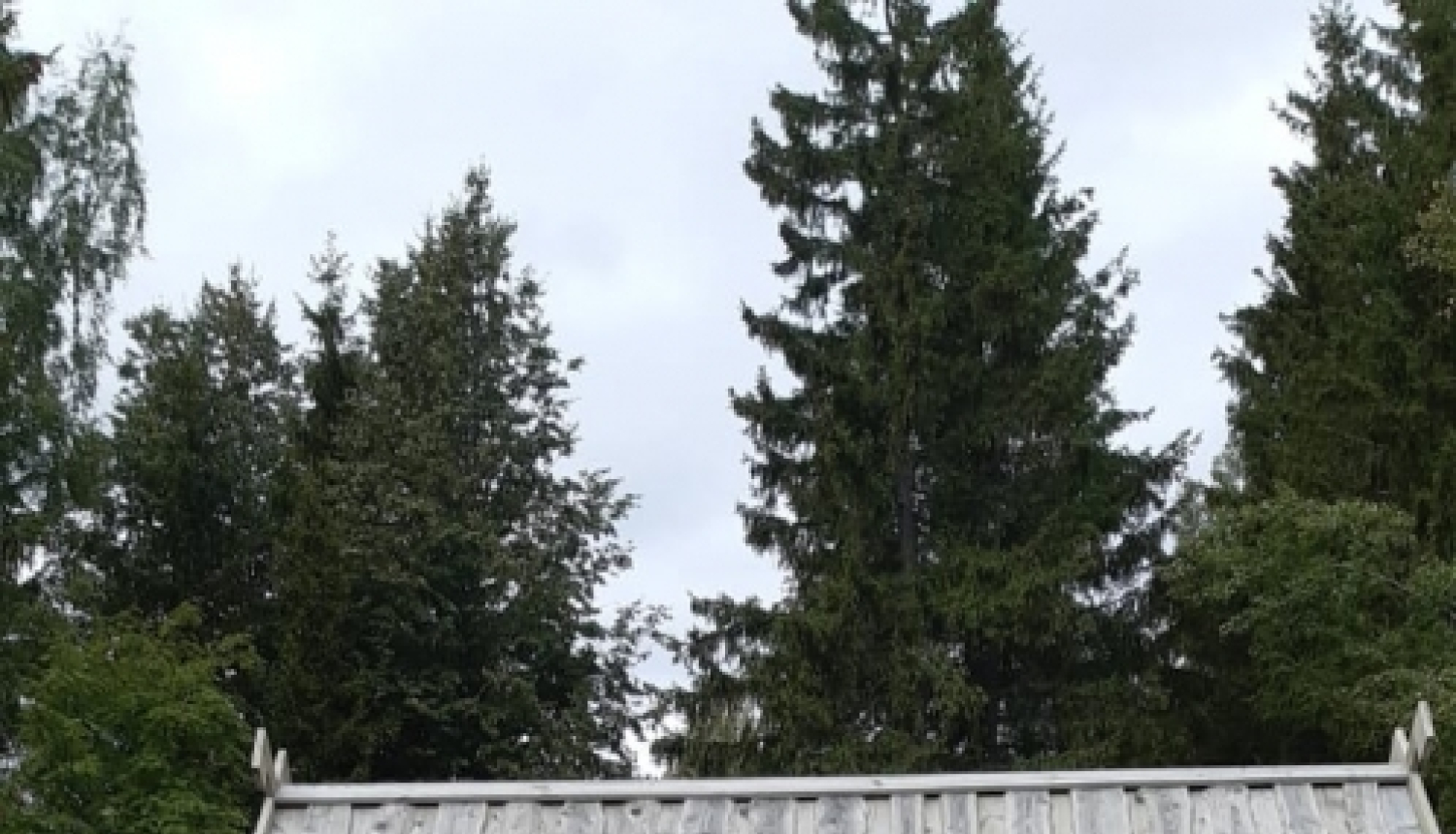 cilvēki stāv pie vārtiem