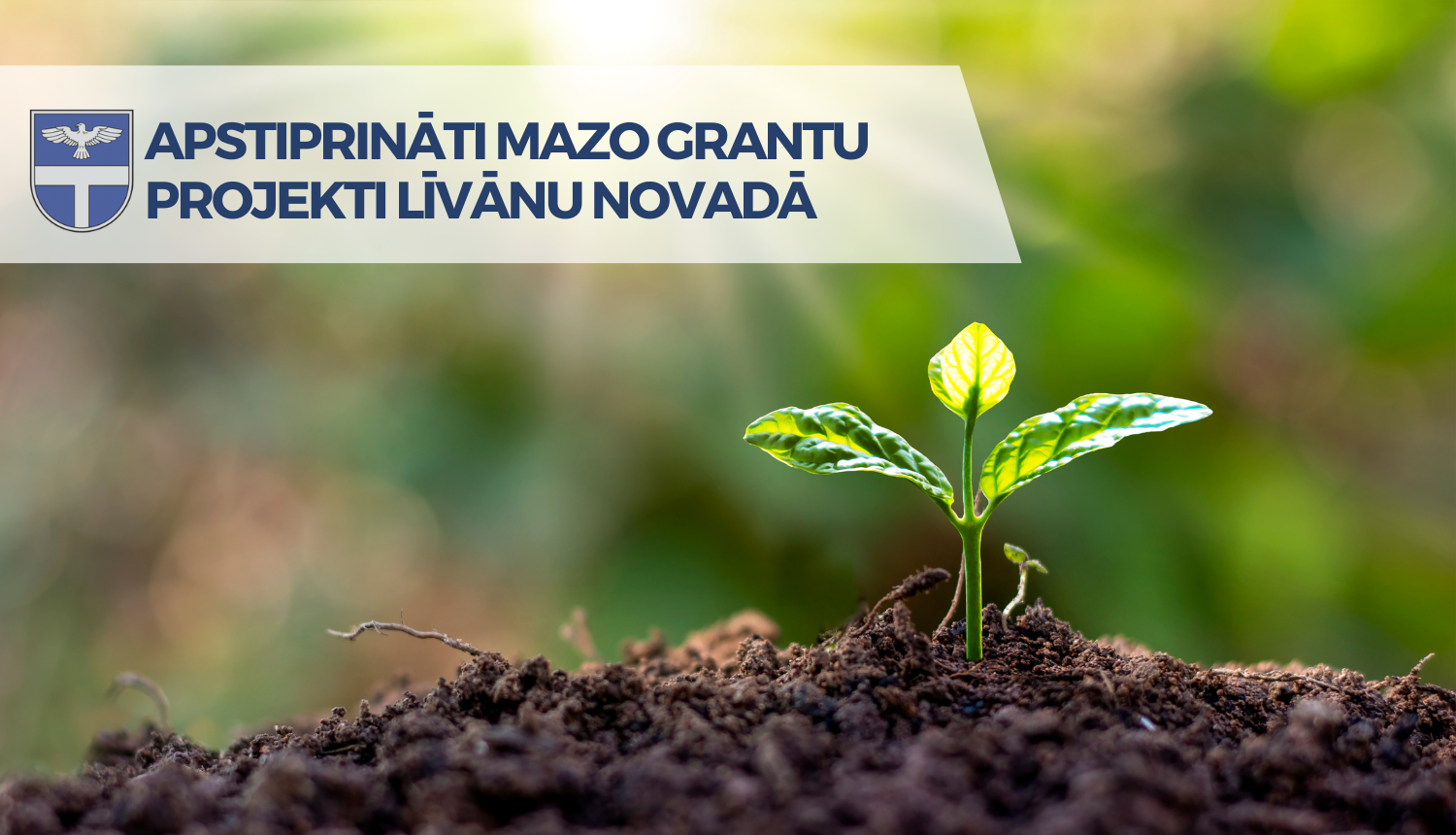 asns izspraucies no zemes un spīd saule