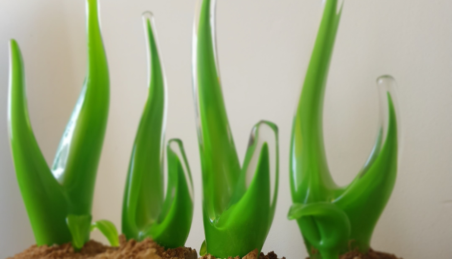 stikla godalgas - zaļi asniņi 