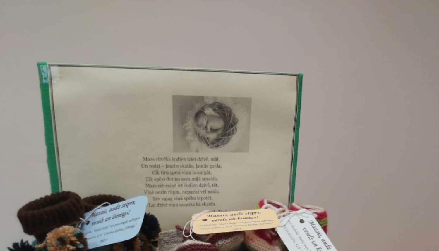 adīti zīdaiņu zābacini