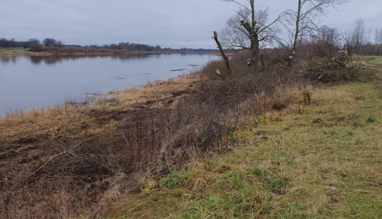 rudenī upes krasts, drūms pelēcīgs