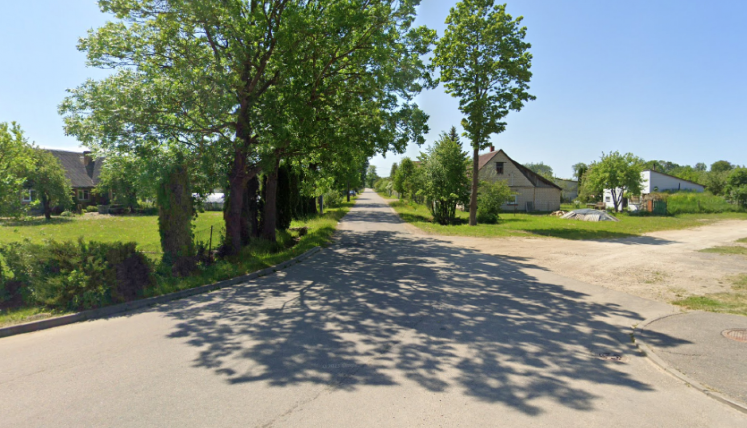 iela ar kokiem